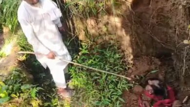 कटा सिर मिला